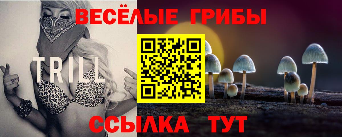 Можга  Псилоцибиновые грибы Psilocybine cubensis  Псилоцибиновые грибы Cubensis  купить наркотики сайты  Вход с VPN 