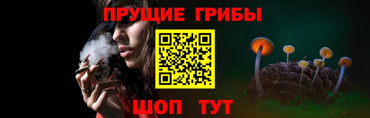 Псилоцибиновые грибы мухоморы Можга